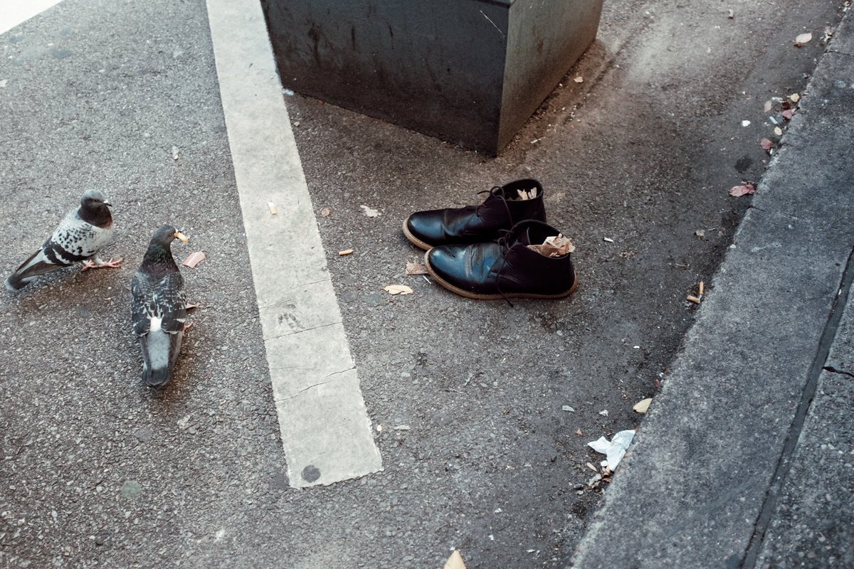 jaimele321's tweet photo. Pigeon Toed
Pittsburgh, 2022
https://t.co/BsC9WnCiPO
#streetphotography #pigeon #shoes #boots #pittsburgh #birds https://t.co/qtTS2LPdoY