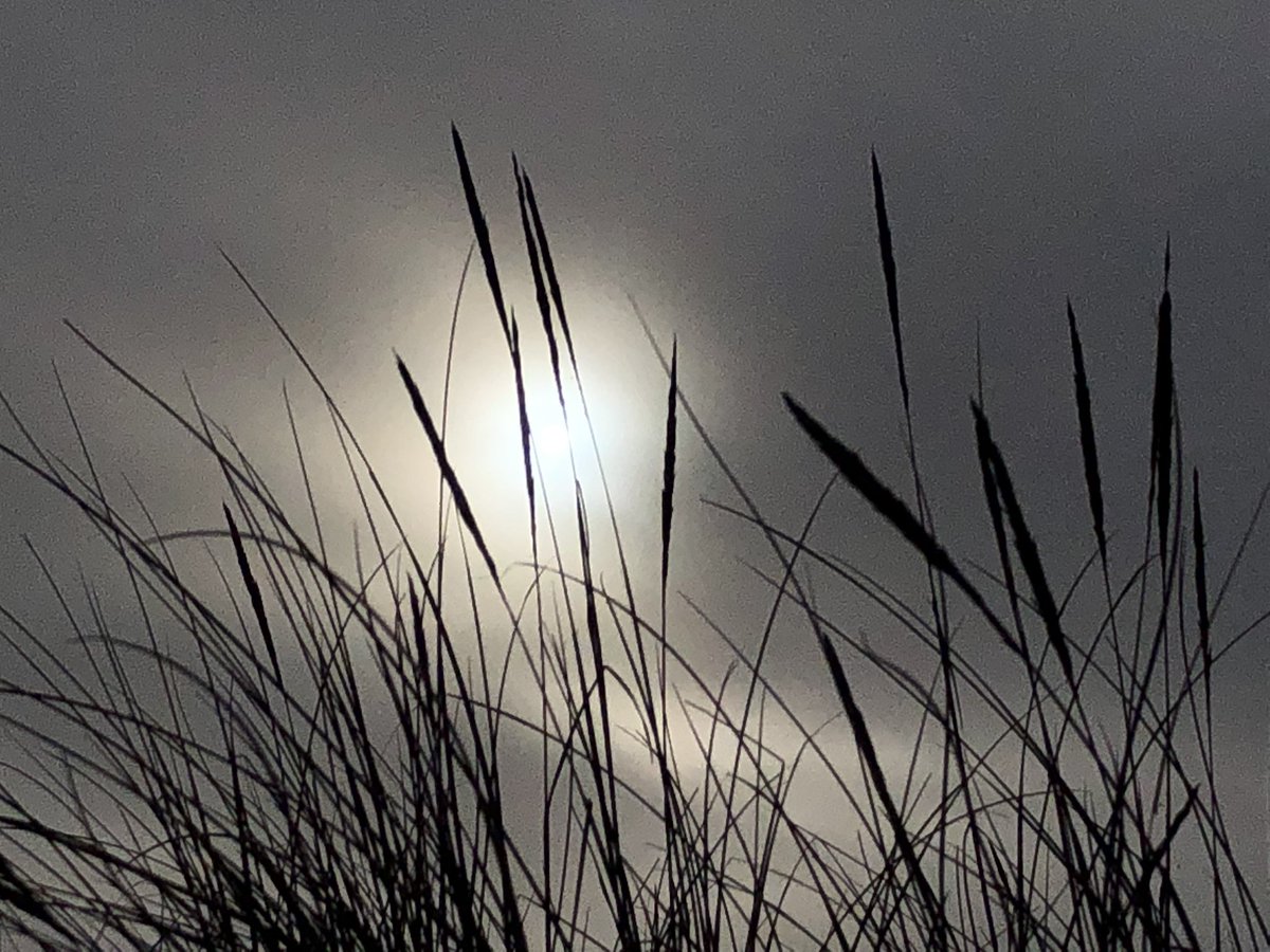 verorion85's tweet photo. Une heure avant le coucher du Soleil … je n’aurai pas mieux pour aujourd’hui.
😩😭
#rendeznouslesoleil #plizz #vendee #lescinqpineaux https://t.co/29KIRdshj5