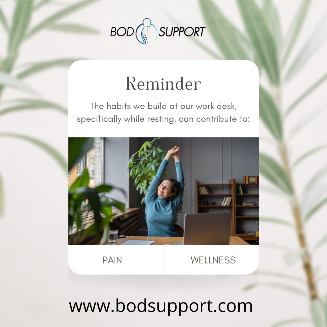 BodSupport's tweet photo. Choose Wellness 🤍⁠
Easy Stretches YOU can do at the office every day.⁠
⁠
⁠
#healthylife #healthybody #healthyback #backpain #backpainrelief #backpaintips #backpainsupport #backpainmanagement #backpainfacts #saynotobackpain #bodsupport #wellness #pain https://t.co/RGuQudR1sL