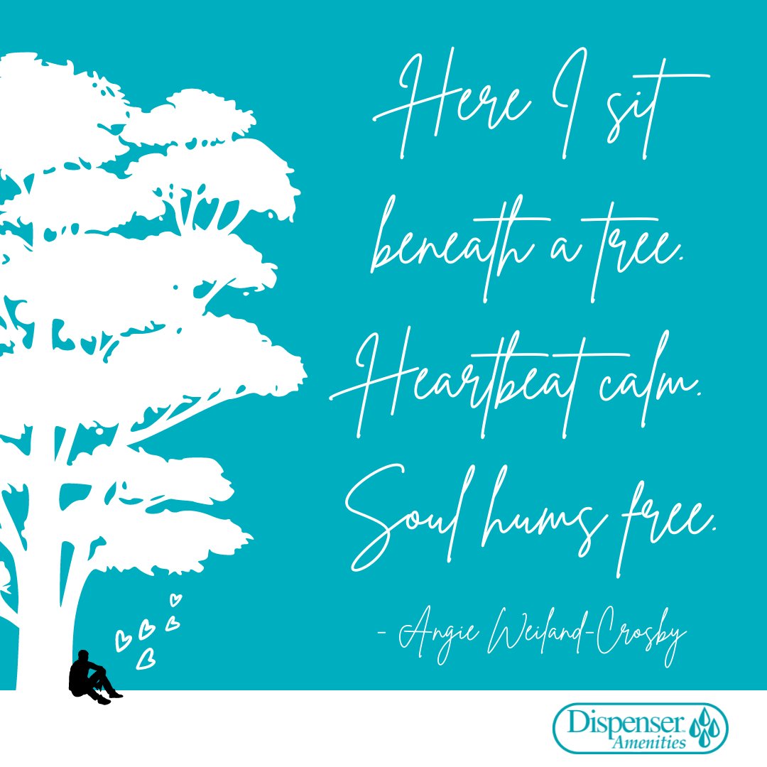 Disp_Amenities's tweet image. Sitting in nature is cathartic! ❤️ #naturequotes #amongthetrees