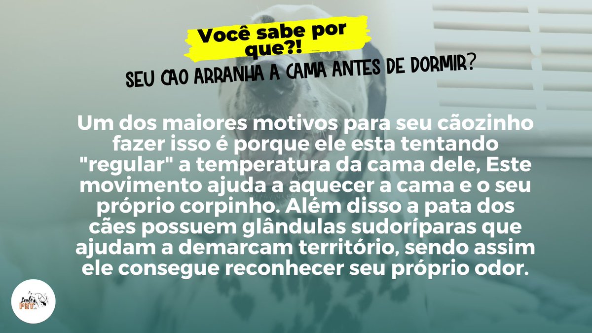 LealePet's tweet photo. Quem tem um cãozinho, provavelmente já viu essa cena não é mesmo!!!
Mas fique tranquilo tutor pois este é um comportamento canino super normal. https://t.co/Widt62PcJz