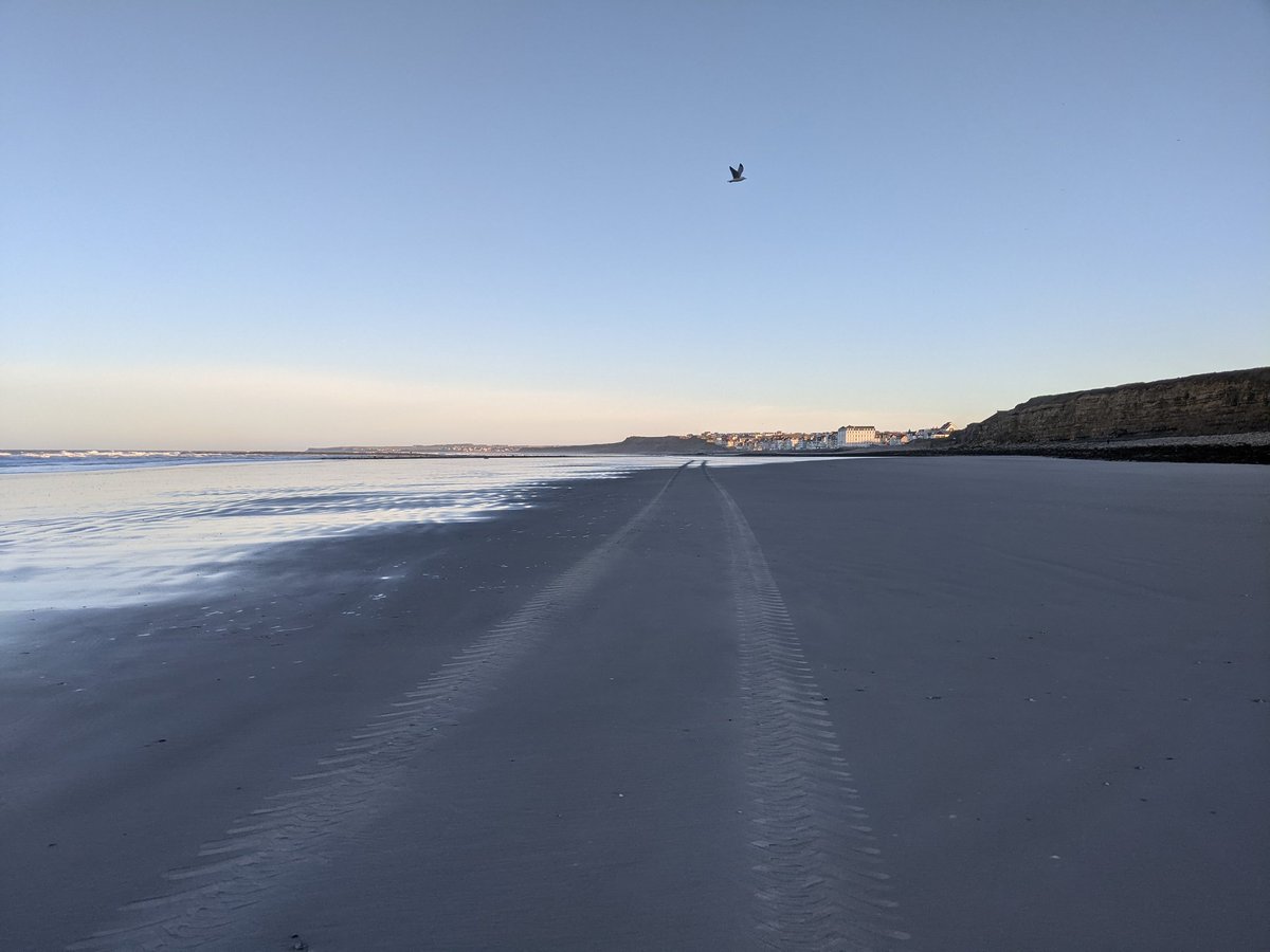 BioNept's tweet photo. Successful #fieldwork at #Wimereux. The trip by tractor to the site was great fun.

#intertidal #biodiversity https://t.co/pY5a2AJpki