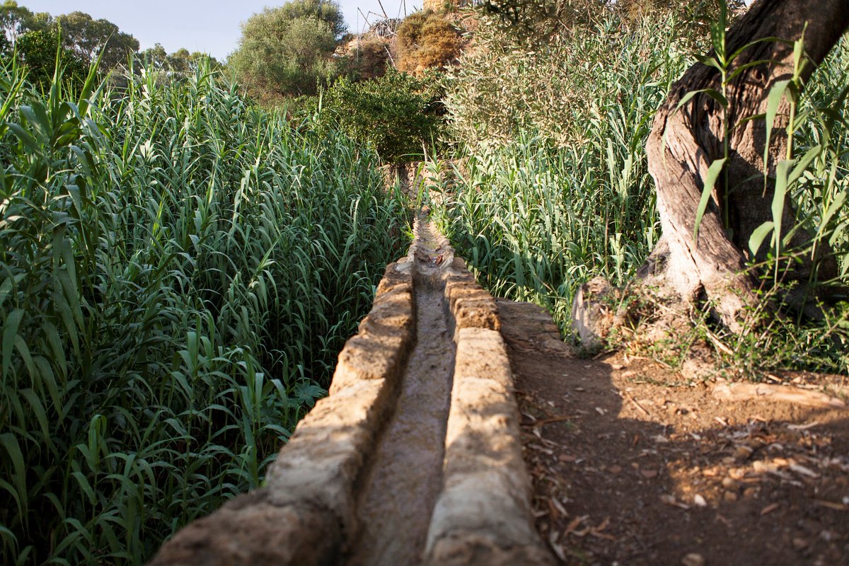 Giardino della Kolymbethra, piccola valle situata nel cuore della Valle dei Templi di Agrigento. Autentico gioiello archeologico e agricolo: un giardino straordinario per la magnificenza della natura e per la ricchezza dei reperti archeologici.
#makari2