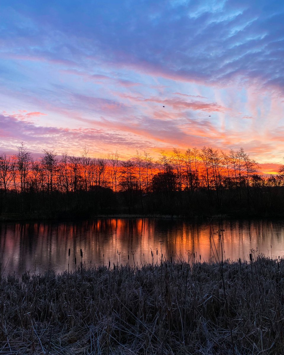 EasterBreich's tweet photo. A red sky over the pond this morning! https://t.co/Rzkpm8ljUJ