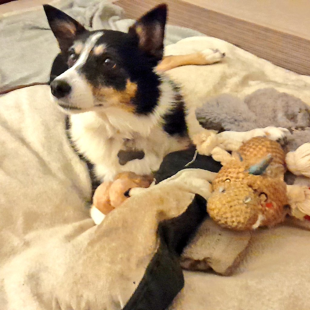 Nell & Jess tweet media