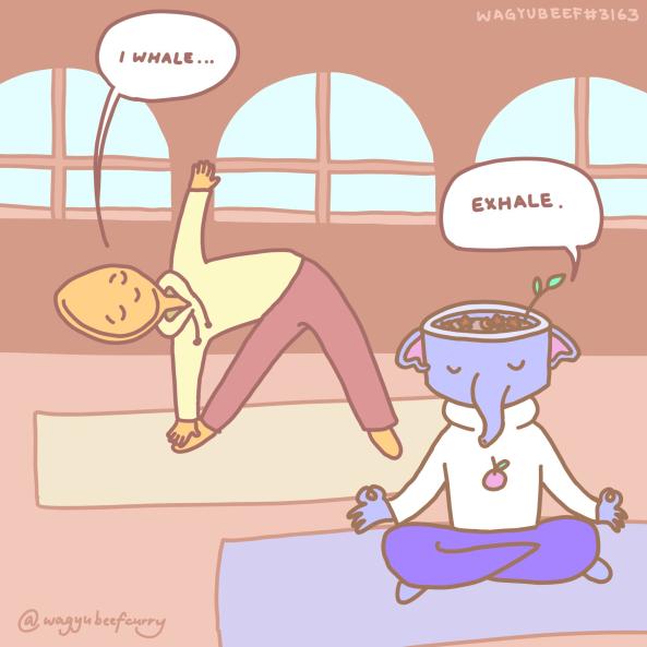 Just a bit of yoga this afternoon :)