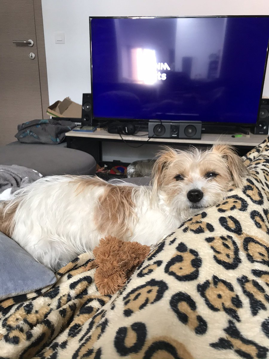 evaaa444's tweet image. In mijn hart blijven we altijd samen me babytje ❤️ 
Dagelijks blijven de gedachten spoken of het echt niet ging lukken hier met je. Maar iedere keer kom ik tot de conclusie hoeveel uren jij hier ging opgesloten zijn, alleen.. &amp;amp; die gedachte breekt mijn hart alleen nog maar meer😩