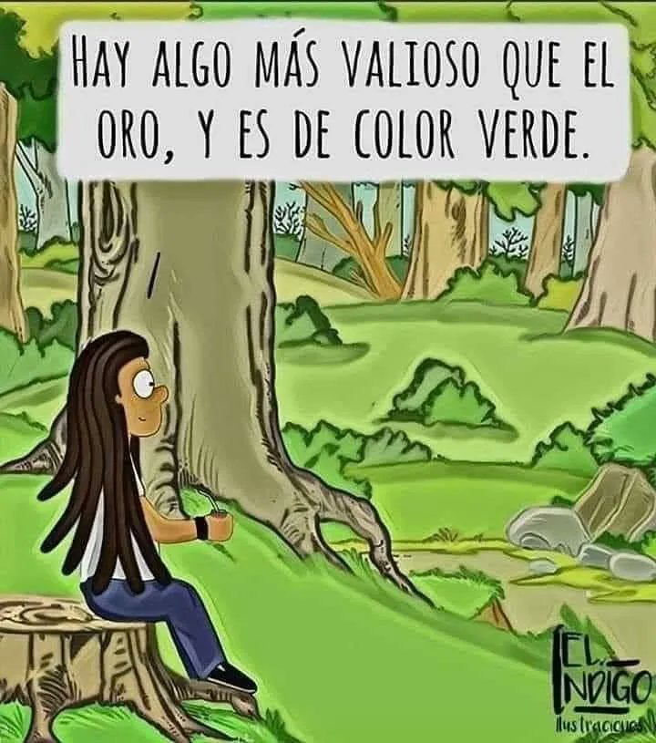 EcoInventos's tweet photo. Verde 💚💚💚 https://t.co/S4VXIfNWCh