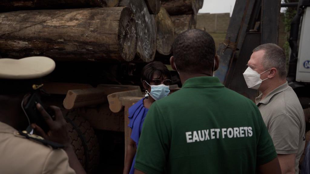 ForetmerGOUVGA's tweet photo. Dans le même élan, le ministre @LeeWhiteCBE s’est rendu dans le parc à bois d’EKOUK où ont été saisis deux grumiers transportant du bois illégal. 
@ngwapaza @GhMoussavou @LucienMassoukou @MoubaStephen @NgokBanak @beh_mve https://t.co/xOFIeHC8uu