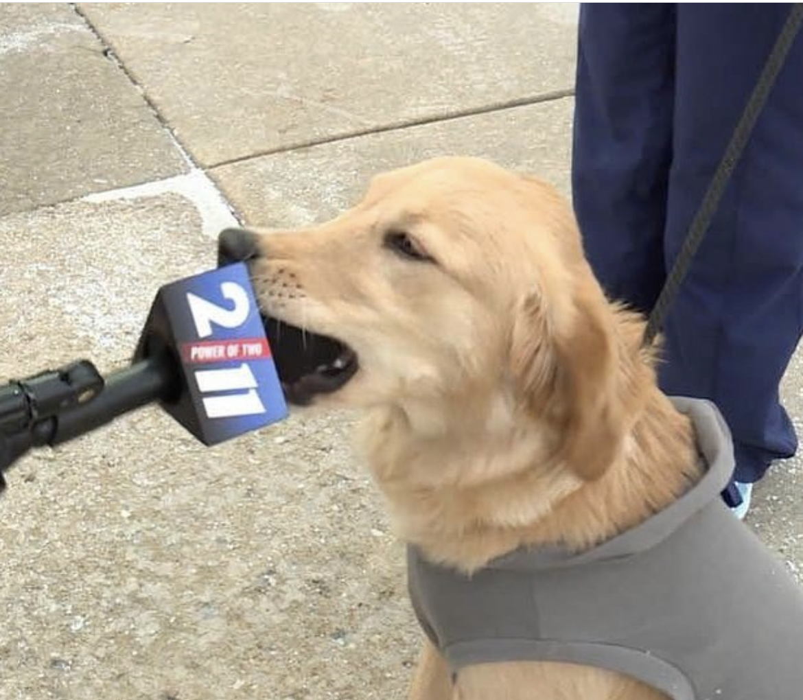 Only News I trust
