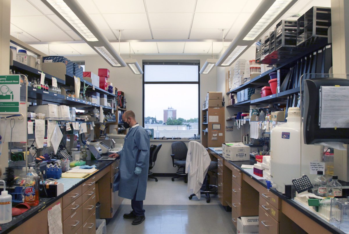 Mizzou's tweet photo. A #Mizzou scientist is helping detect COVID-19 variants in NYC wastewater. Learn more ➡️ https://t.co/0exYONNSUZ https://t.co/eTw80A9ZiV
