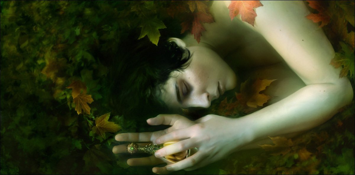 Karla Ortiz tweet media