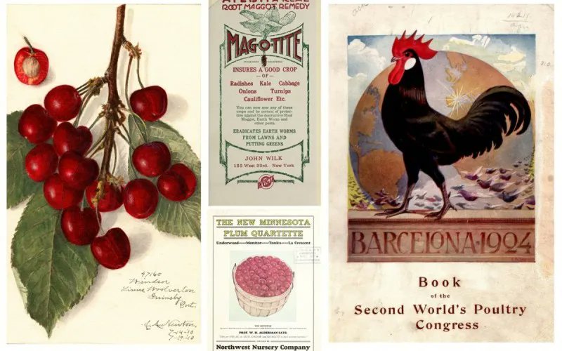 Farm2Inst's tweet image. If you're working in food systems and not using the @USDA National Ag Library... you're missing out! 📚 SO MANY resources useful in marketing, supply chain, equity, funding &amp;amp; more. Hear from NAL librarians and @Farm2Inst: Feb 9, 2022 at 2 pm ET. buff.ly/3Ley8nJ