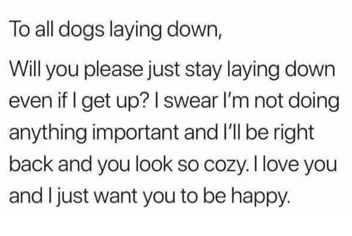 womenshumor's tweet photo. I wish I could tag my dog in this post https://t.co/ngu3noH9um