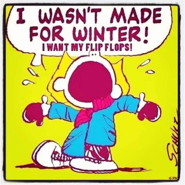 Stephleak tweet media