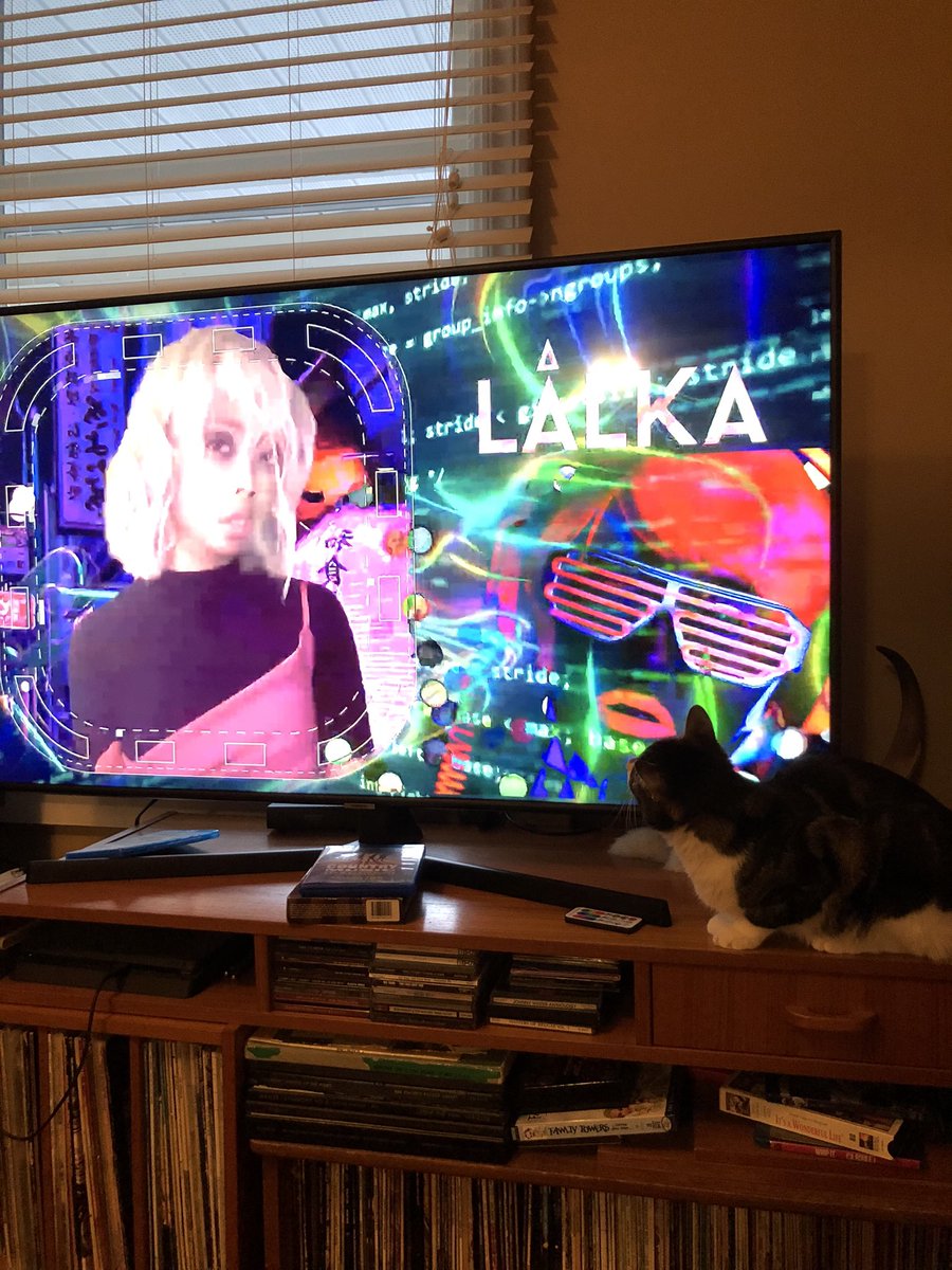 The cat is really digging the <a href="/iamLALKA/">LÂLKA //effervescent glitchy futuristic club music</a> videos