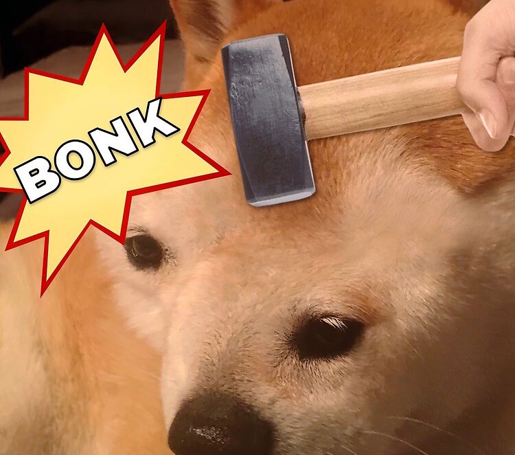 <a href="/dogebonk_token/">DogeBonk</a> Just checked the site and seen a 10k Bonk purchase….people are seeing the light

How do you Bonk light anyway?