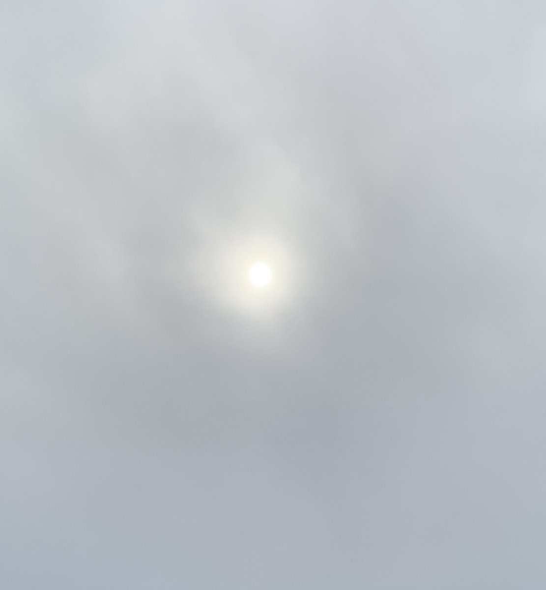 okamoto_sandra's tweet image. Good afternoon, Columbus! The sun is struggling to shine through the clouds this afternoon. #ColumbusGA #02/07/2022 #completelycloudy #nobreeze #stillchilly