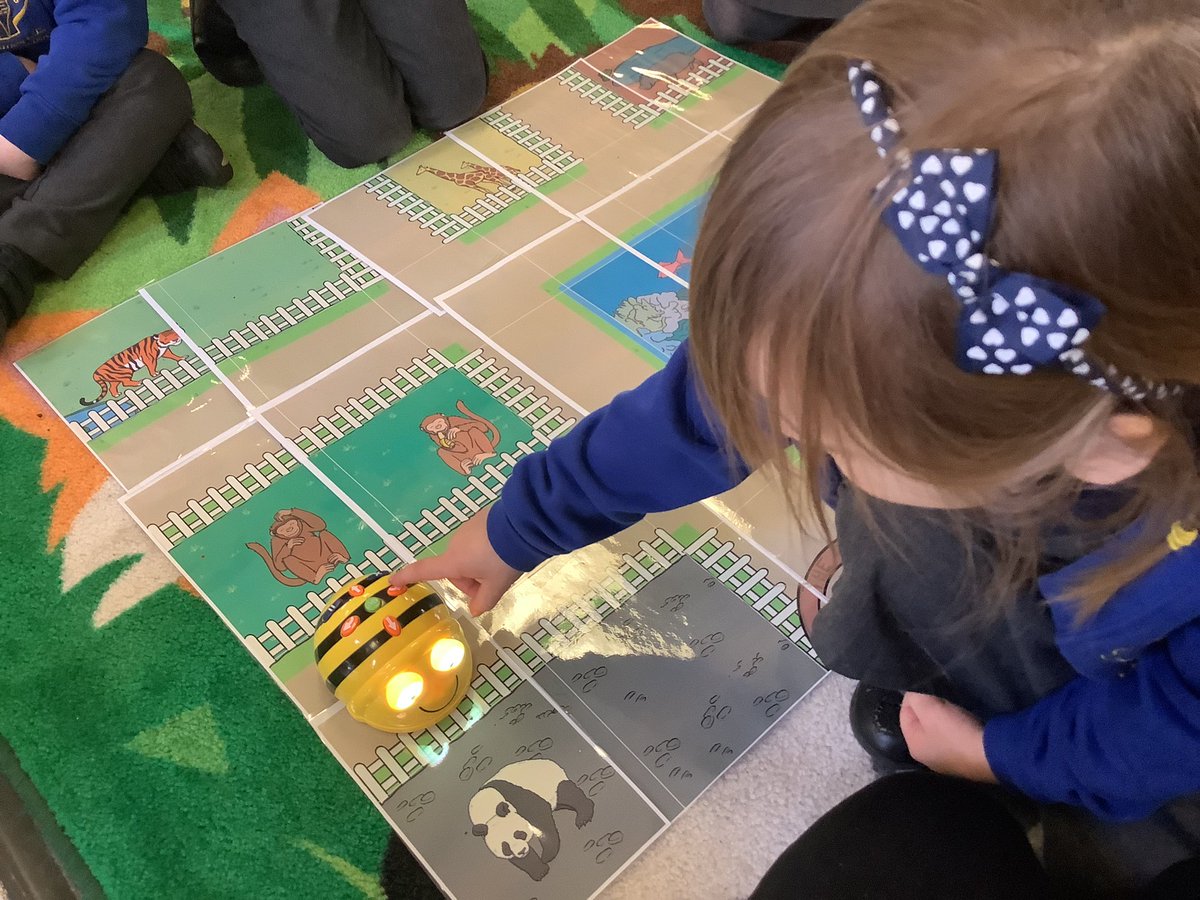Today we learnt how to use bee bots. We learnt how to make the bee bot move forwards, backwards and how to turn. As a group the children then programmed the bee bot to move around the ‘zoo bee bot map’. Super teamwork, well done ⭐️