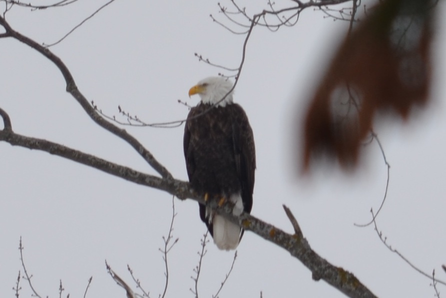 Braden Van Nynatten tweet media
