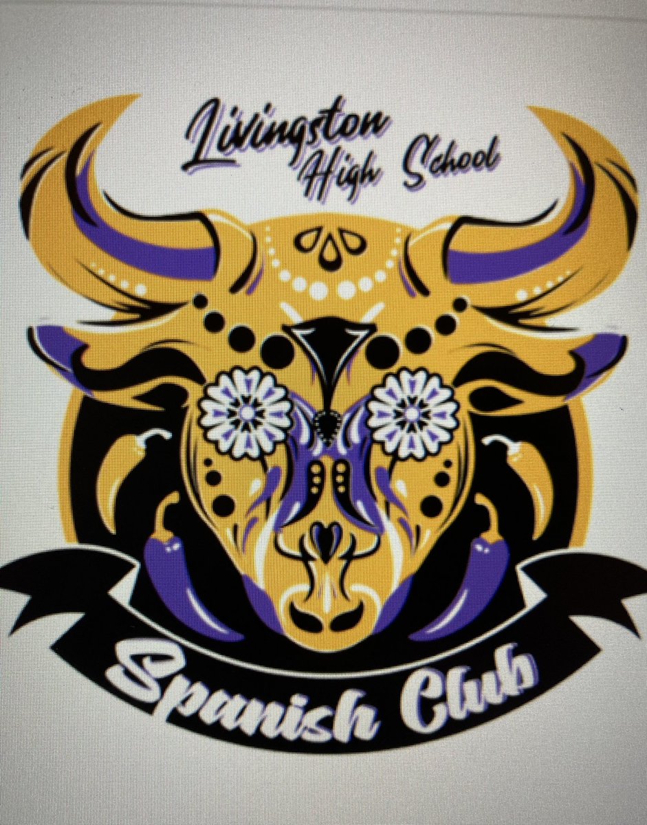 T-shirt $10 hoodie $22