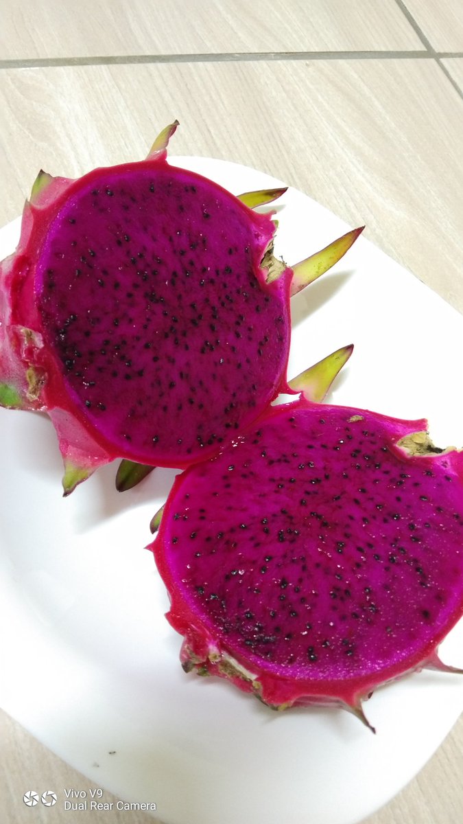 Let's eat...with me...so sweet dragon fruit. 
#firstfruit #pureorganic
#inmygarden
@#DoalnaraOasisFarm
Happy Farming you.tube/dr_TO-K8T8c