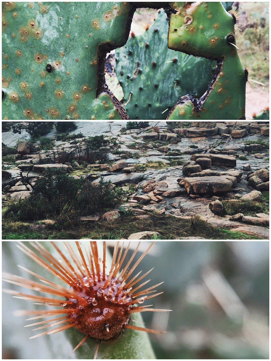 kyndlm18 tweet media