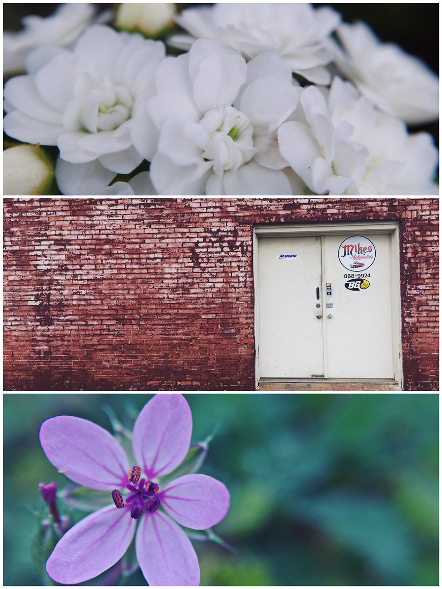 kyndlm18 tweet media