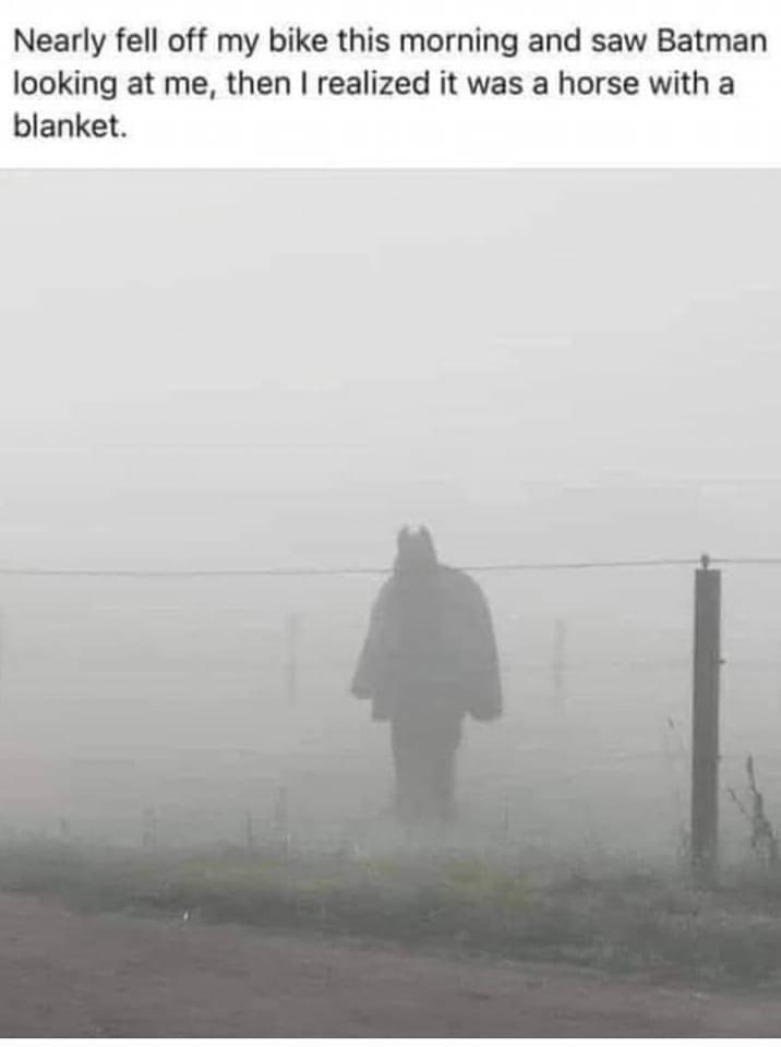 CRYPTIDSUK's tweet photo. Just shows how easy things can get misidentified 👀

#Cryptozoology https://t.co/GcBqBaJEEO