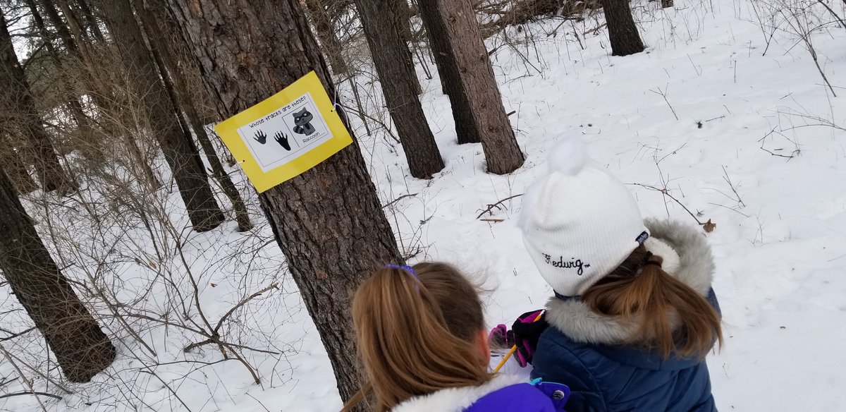 McMahonFirsties's tweet photo. Matching animals to their footprints for #firstgradeforesters today! #mcfirsties #handsonlearning #fostercuriosity #getoutside https://t.co/k6baq7WkR3