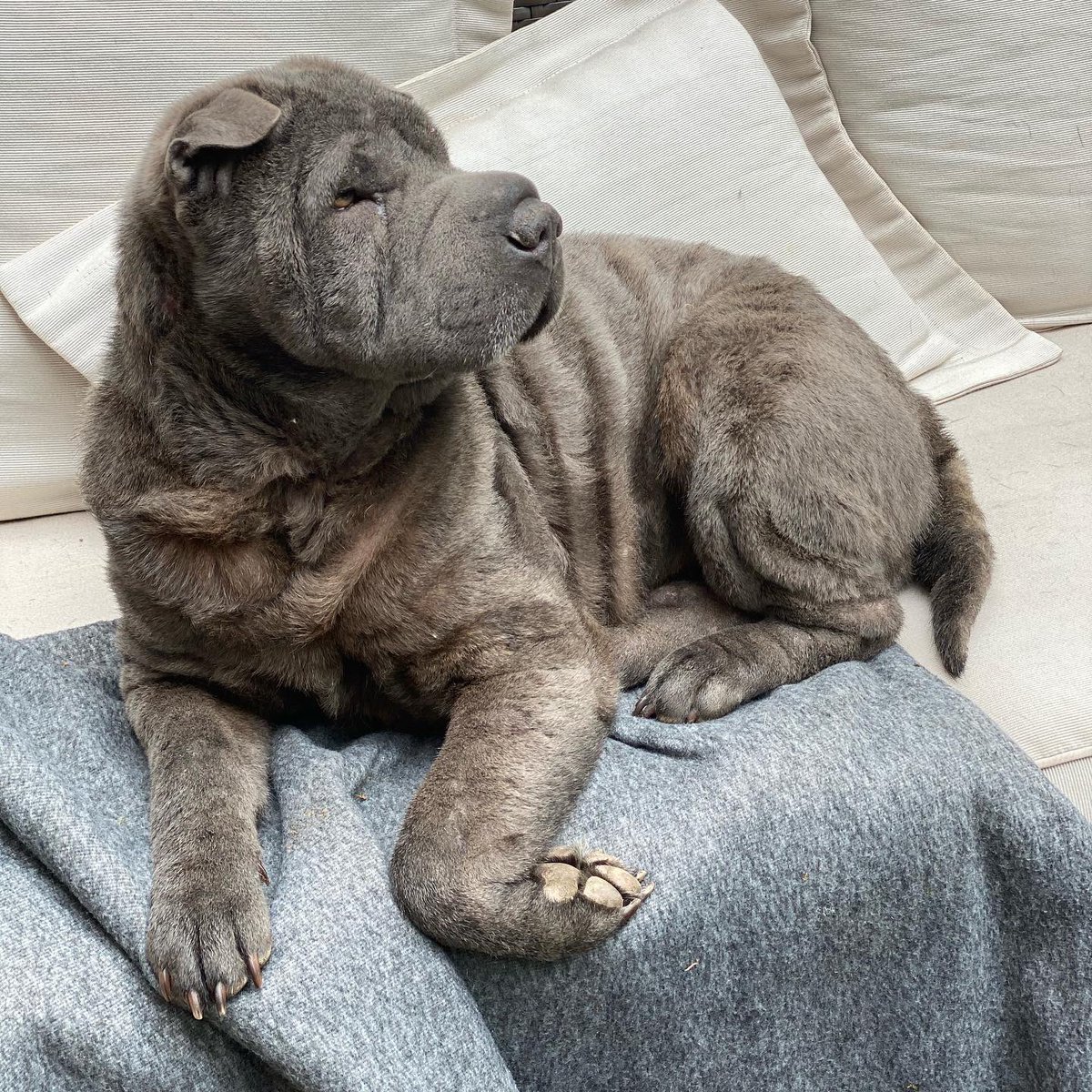 Louise Redknapp tweet media