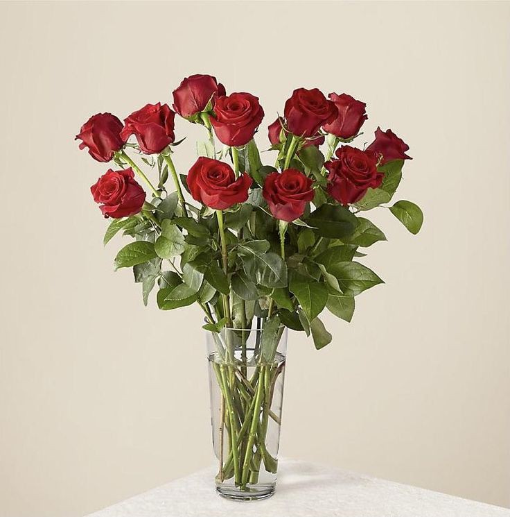 <a href="/yeonjunieluvsme/">Ame✢⁷</a> happy rose day love~~ fromtubatu, tyunning and anon. 🌹
✿✿✿✿✿✿✿✿✿✿✿✿✿✿✿✿