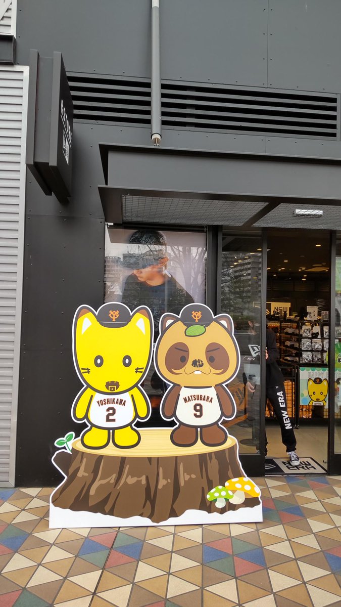ナオマツ爆誕祭 本日開幕‼ ＼ きょうは #吉川尚輝 選手のお誕生日