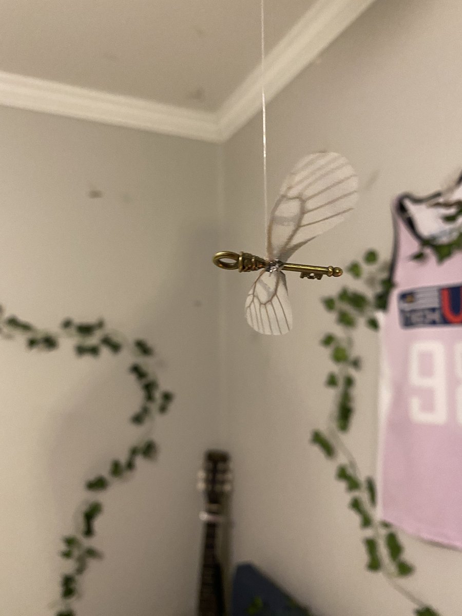 syddyalt's tweet photo. just wanted to show my favorite aspects of my bedroom :))
1. flying keys from harry potter
2. van gogh painting wall
3. kinda cluttered night stand
4. my rose named nev <3 https://t.co/NICdJmFVSl