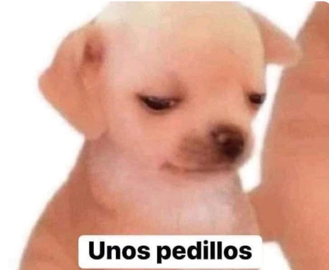 ElJeringasLoko's tweet photo. Yo a las 3 AM preguntándole a la llorona por qué llora

La llorona: https://t.co/YfuHD0CjnP