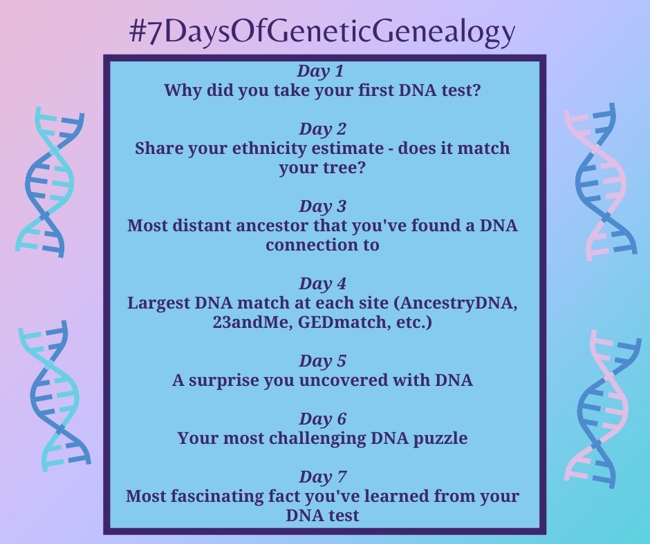 #7daysofgeneticgenealogy My most challenging DNA puzzle is this one adopted girl, VERY close DNA wise to my grandpa. She was born in the same area as most of my family and I just cant place her no matter how hard I try. Complicated by the fact that she hasnt responded in years...