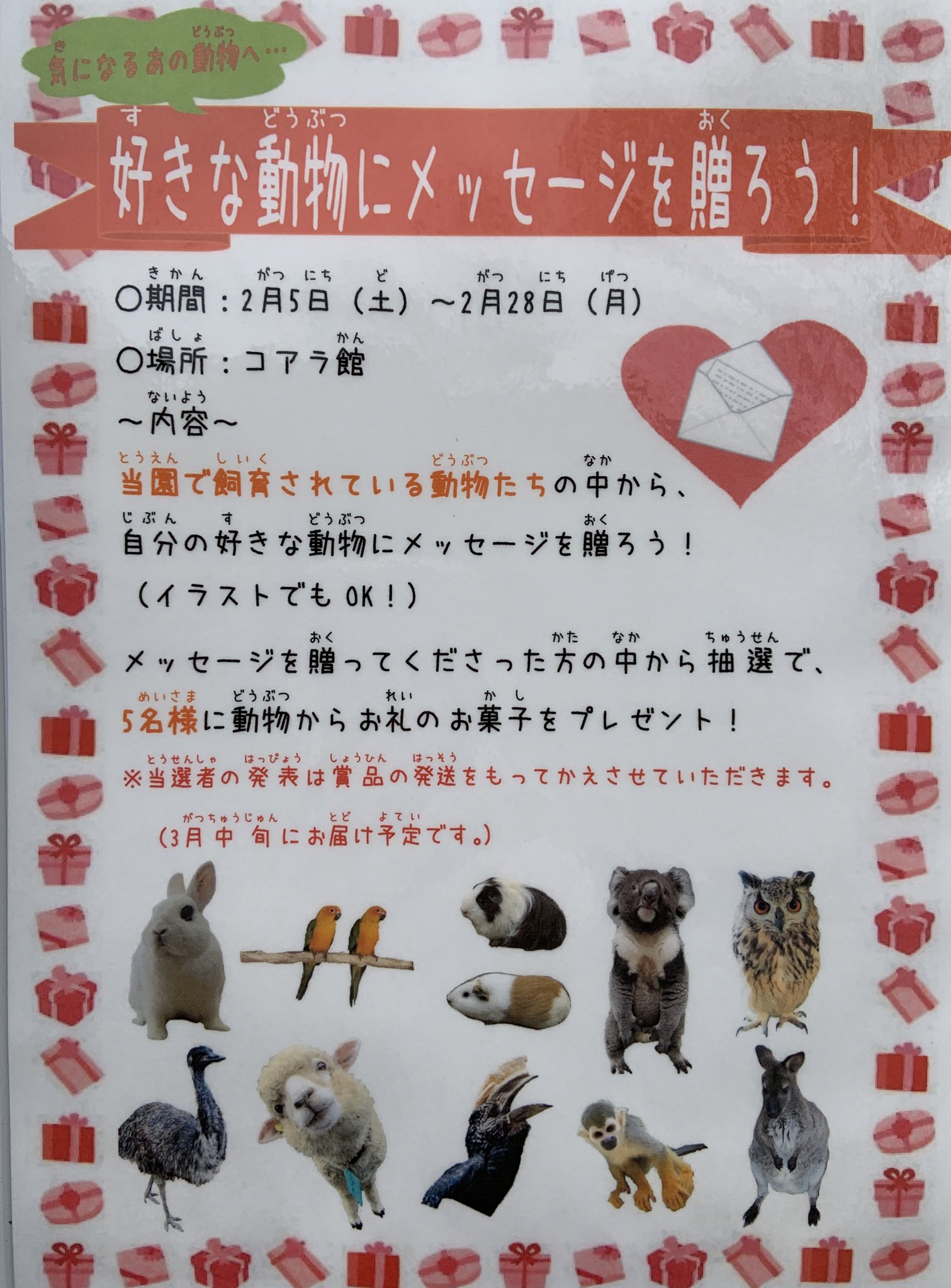 淡路ファームパーク イングランドの丘 公式 2月といえばバレンタインデーということで 現在コアラ館内にてみなさんが大好きな動物たちに愛を伝えるイベントを開催しています 抽選でホワイトデーあたりにお返しが届くかも T Co