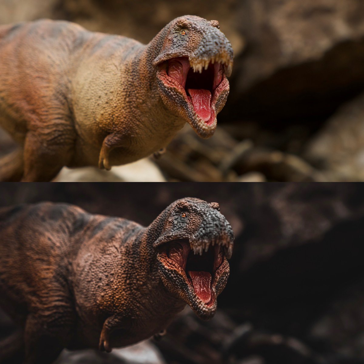 RAV vs Edited Shots From My Product Shoot Of The PNSO T-Rex &amp; Trike 🦖
•
A Thread