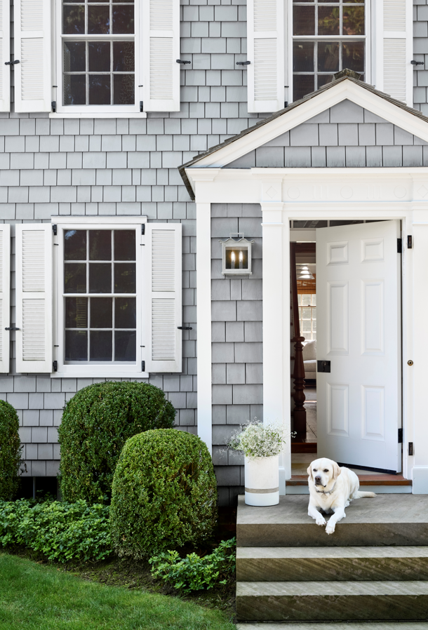 ProgressLtg's tweet photo. We have good news and bad news. Good news, our new @jeffreymarksinc Point Dume Seamoor Wall Lantern will be available in March. The bad news, the dog doesn’t come with purchase. #JAMMonday #interiordesign #lighting
See it for yourself: https://t.co/YDPMRatzO3 https://t.co/rAT1WNDRzw
