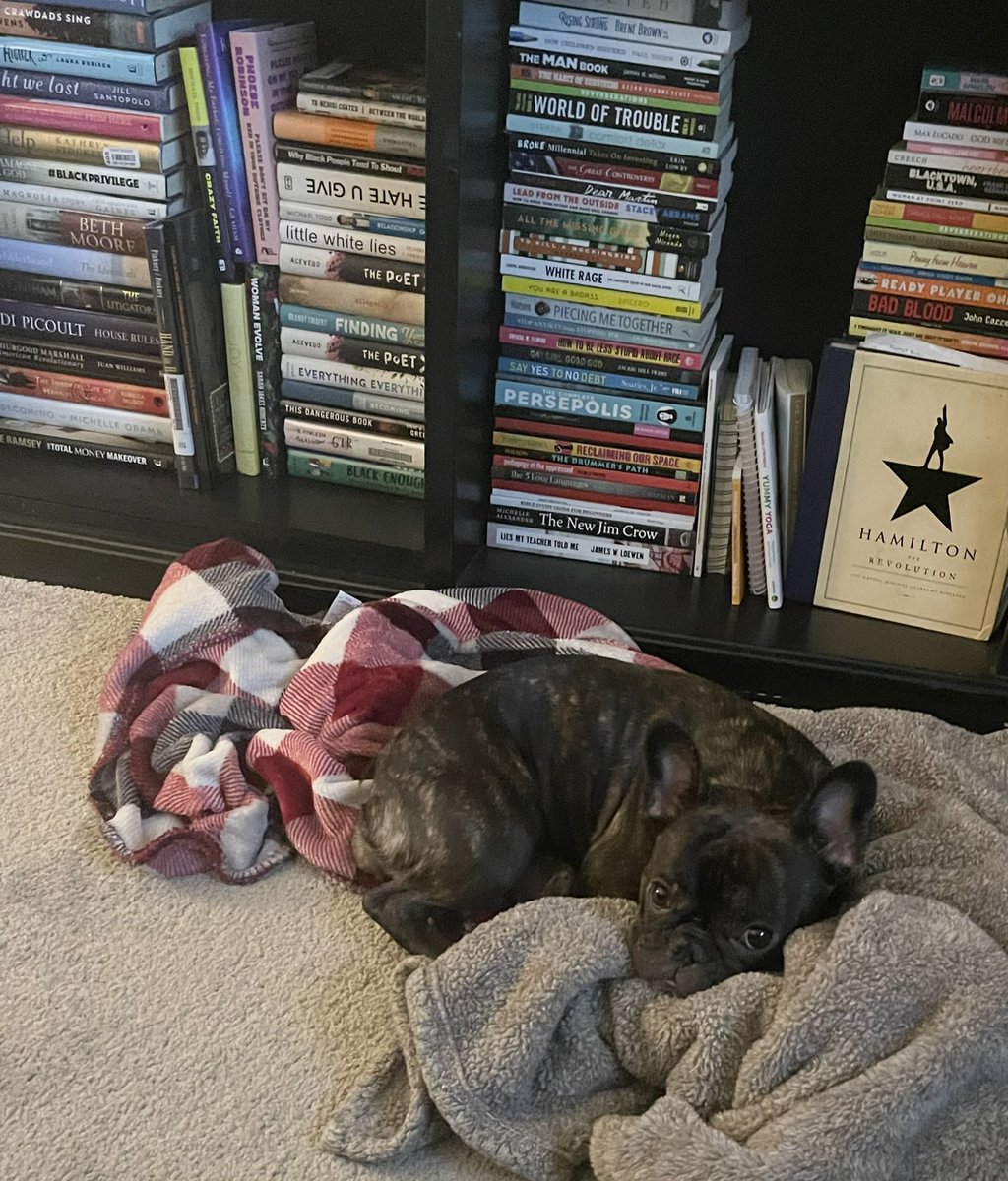 ItsMrsChristian's tweet photo. Her favorite spot with her favorite blankets. ❤️ #AthenaMarie #FrenchBullDog 🐶 https://t.co/ubYi5NvsVJ