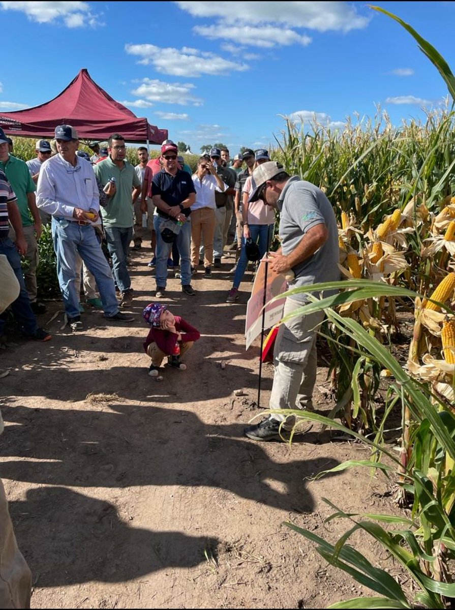 mggarciaok's tweet photo. Gran Jornada En el MIB de Pergamino. Con la Visita de Vicente  nos quedamos tranquilos que hay agronomia para rato!!!  Gracias @GustaFerraris @diegohalvarez79 @FreneRafael @YaraArgentina @BrevantSemillas y a todos los técnicos y productores que se llegaron a Compartir esta tarde! https://t.co/akO6Co2Wv6