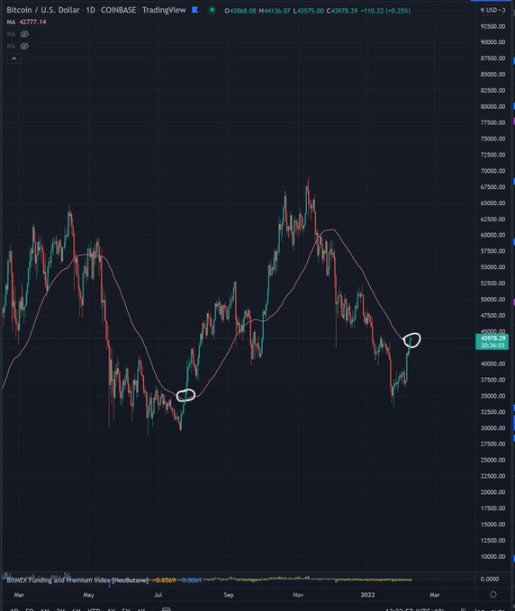lucy121314's tweet photo. last time we got a nice close above the 100 dma was back in july which was the start of an almost 100% rally, so things are defo starting to look good again imo. https://t.co/szjbKRGXPo