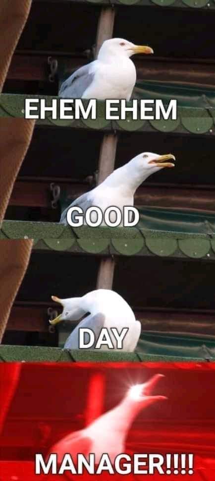 ReaLotusClan's tweet photo. LOTUS Clan | Axie Meme
It's time 🤣😅

Join our discord server:
https://t.co/1JPPD3bMPK
#AxieMeme 
#AxieInfinity 
#AxieinfinityScholarship 
#NFT https://t.co/sCE2ZCdowj