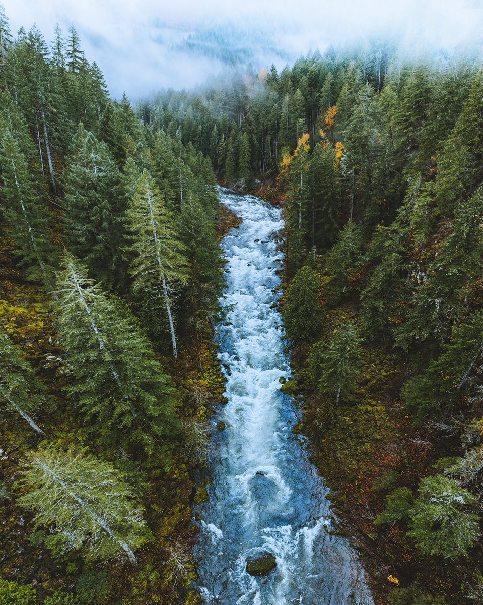 jhamilbader's tweet photo. photos I’ve taken on rainy days☔️ https://t.co/ZxaR1mvlnz