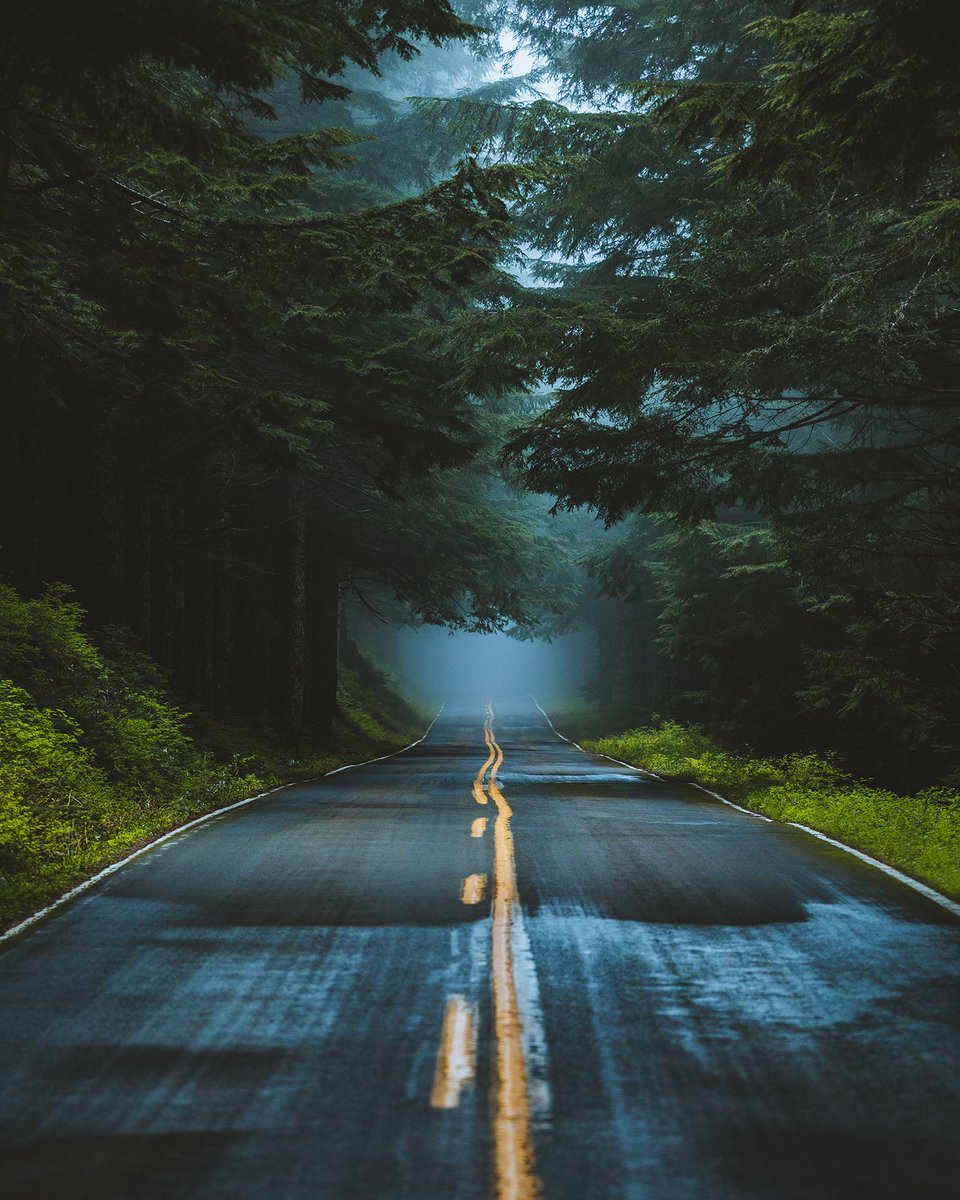 jhamilbader's tweet photo. photos I’ve taken on rainy days☔️ https://t.co/ZxaR1mvlnz