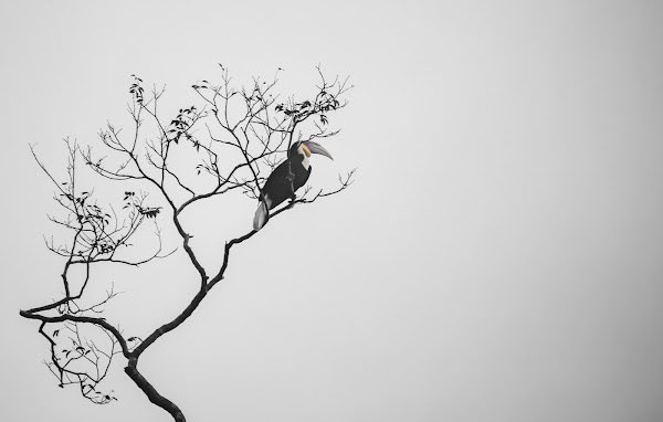 Anil T Prabhakar tweet media