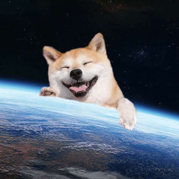 MerryMausoleum's tweet photo. Live look at #SHIBARMY as a #memecoin starts its journey of global domination. Go #shiba #cryptocurrency https://t.co/CxYSDEhRhu