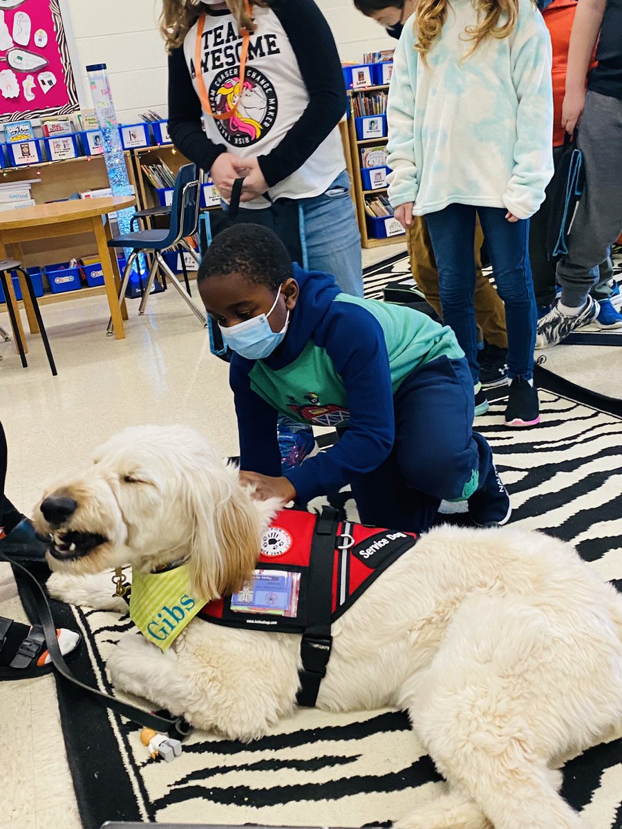 KellyAnneBello's tweet photo. You could feel the love as the zebras got a special visit from sweet Gibson, our new MECC service dog, on his 1st day of school🤍 https://t.co/ssAbHuxKNA