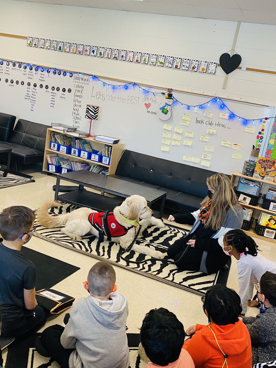 KellyAnneBello's tweet photo. You could feel the love as the zebras got a special visit from sweet Gibson, our new MECC service dog, on his 1st day of school🤍 https://t.co/ssAbHuxKNA