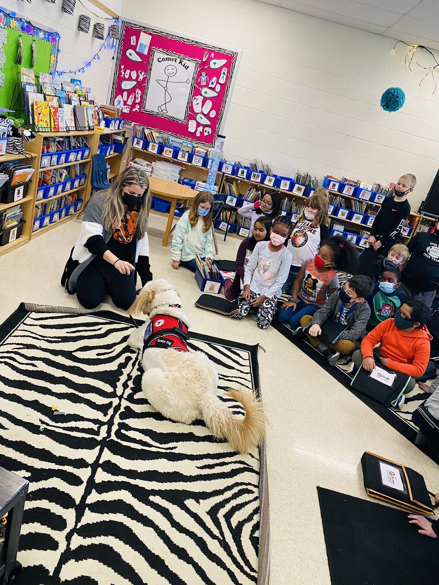 KellyAnneBello's tweet photo. You could feel the love as the zebras got a special visit from sweet Gibson, our new MECC service dog, on his 1st day of school🤍 https://t.co/ssAbHuxKNA